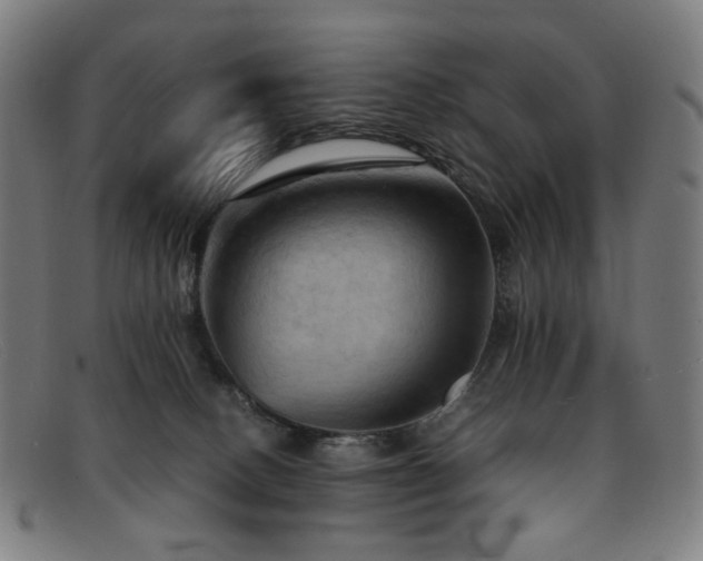 X0000092050082200709121220