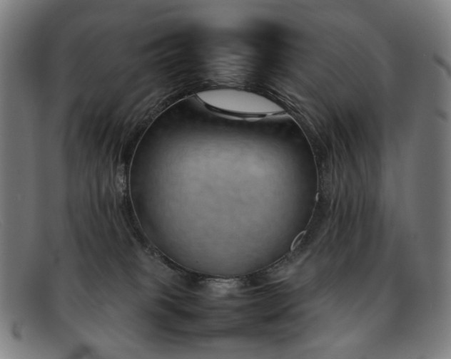 X0000092050085200709121220