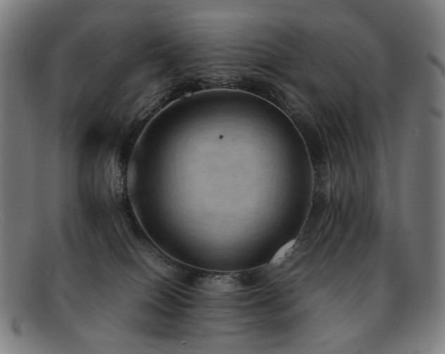 X0000092050086200709121220