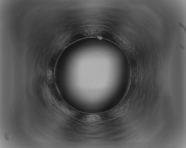 X0000092050087200709121220