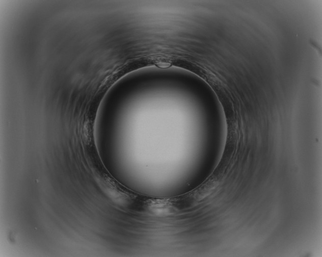 X0000092050088200709121220