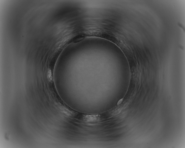 X0000092050089200709121220