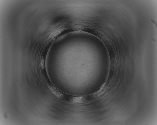 X0000092050090200709121220