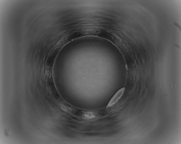 X0000092050091200709121220