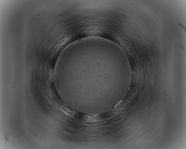 X0000092050093200709121220