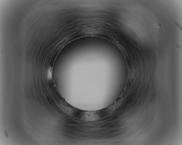 X0000092050095200709121221