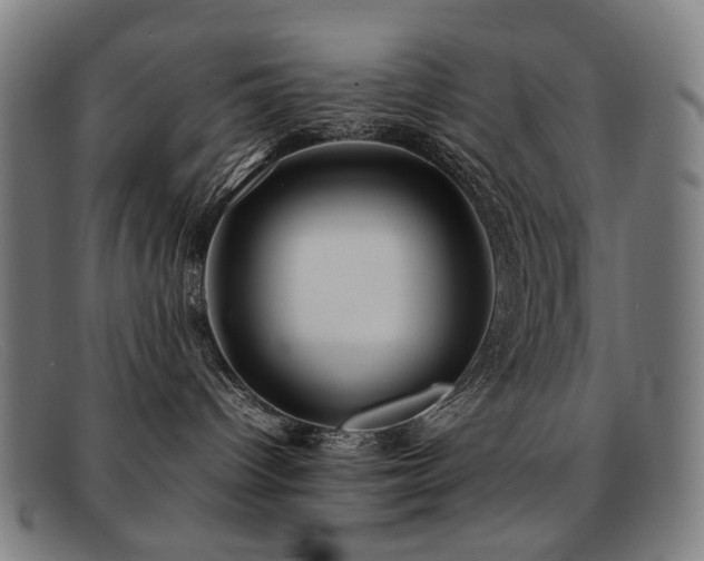 X0000092050096200709121221