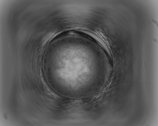 X0000092050097200709121220