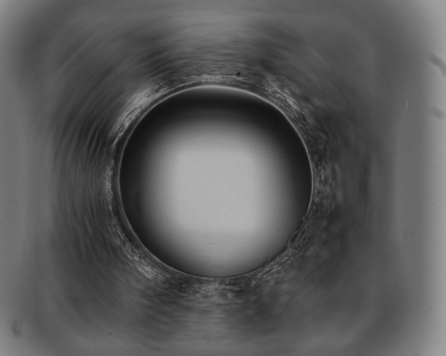 X0000092050098200709121220