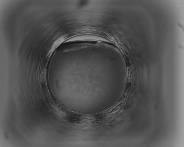 X0000092050099200709121220