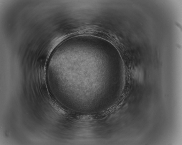 X0000092050100200709121220