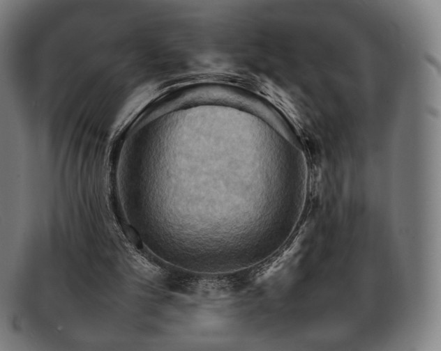 X0000092050101200709121220