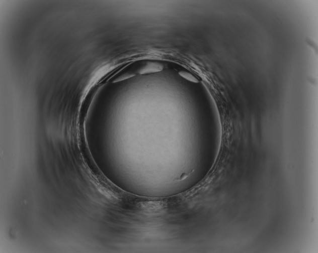 X0000092050102200709121220