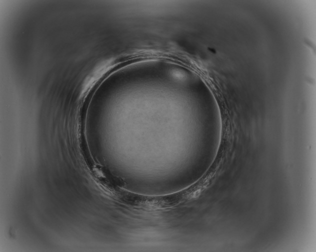 X0000092050103200709121220