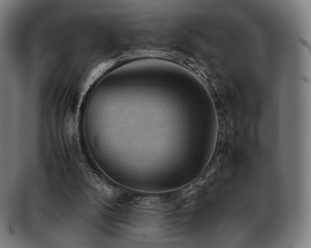 X0000092050104200709121220