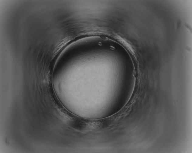 X0000092050105200709121220