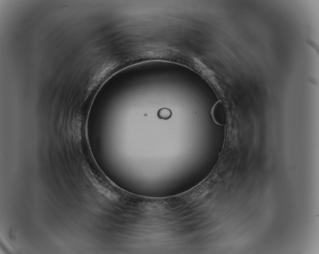 X0000092050106200709121220