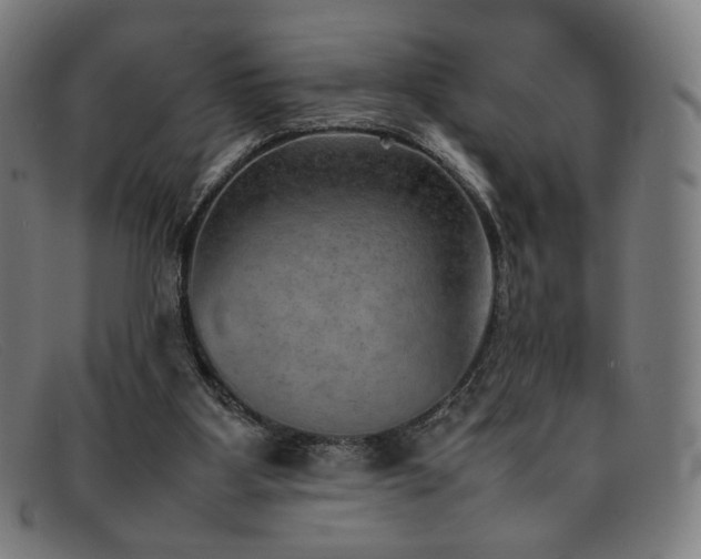 X0000092050107200709121220