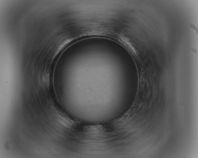 X0000092050108200709121220