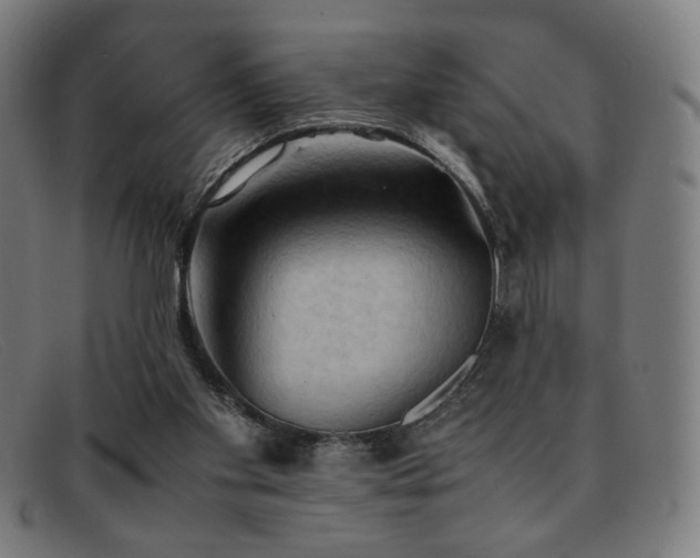 X0000092050109200709121220