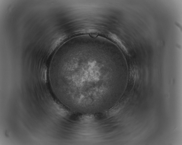 X0000092050110200709121220