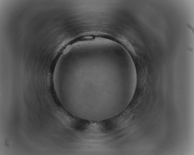 X0000092050111200709121220