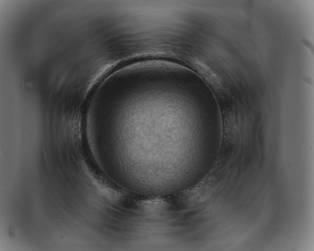 X0000092050112200709121220