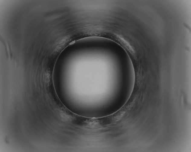 X0000092050113200709121220