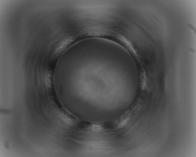 X0000092050114200709121220