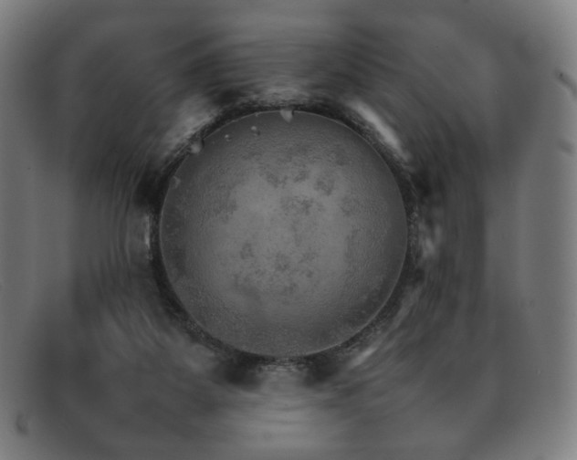 X0000092050115200709121220