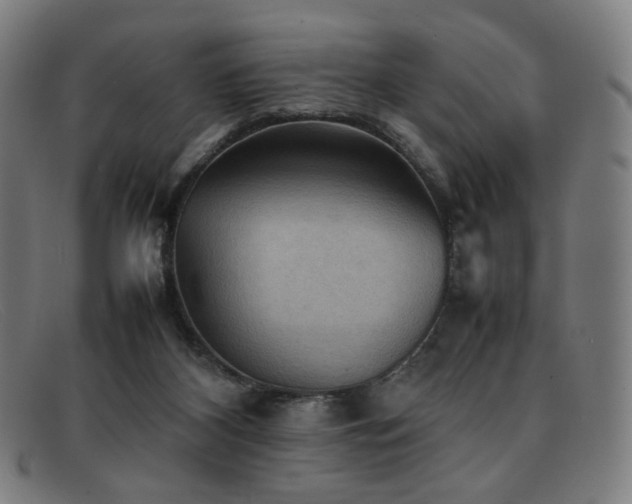 X0000092050116200709121220