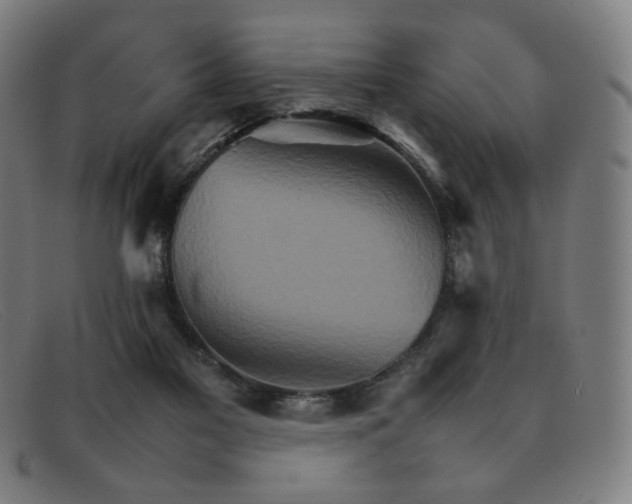 X0000092050117200709121220