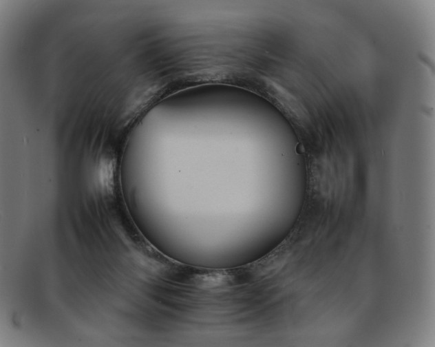 X0000092050118200709121220