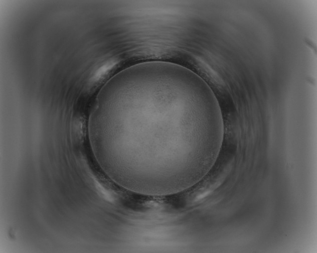 X0000092050119200709121220