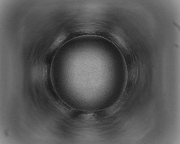 X0000092050120200709121220