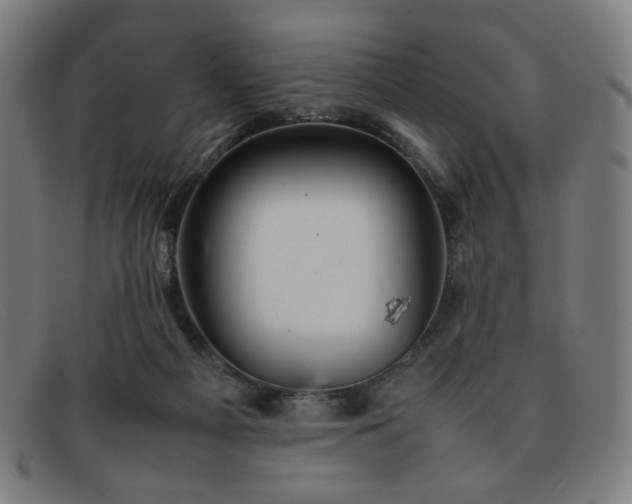 X0000092050121200709121220