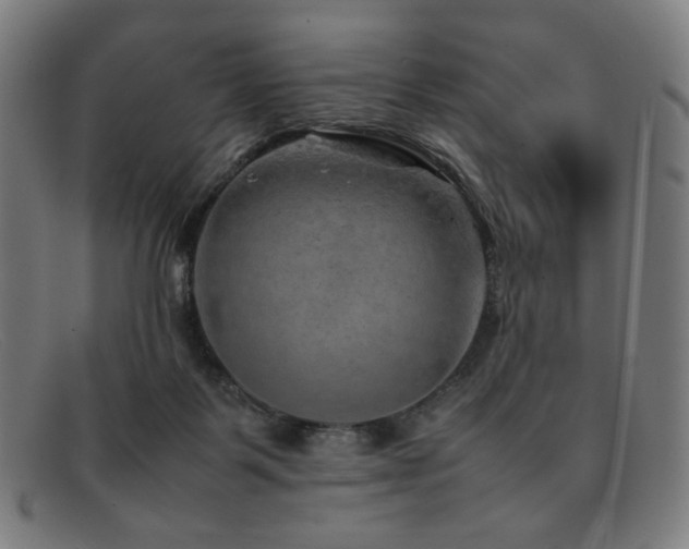 X0000092050123200709121220