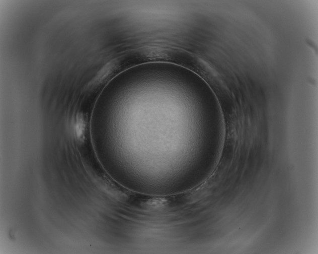 X0000092050124200709121220