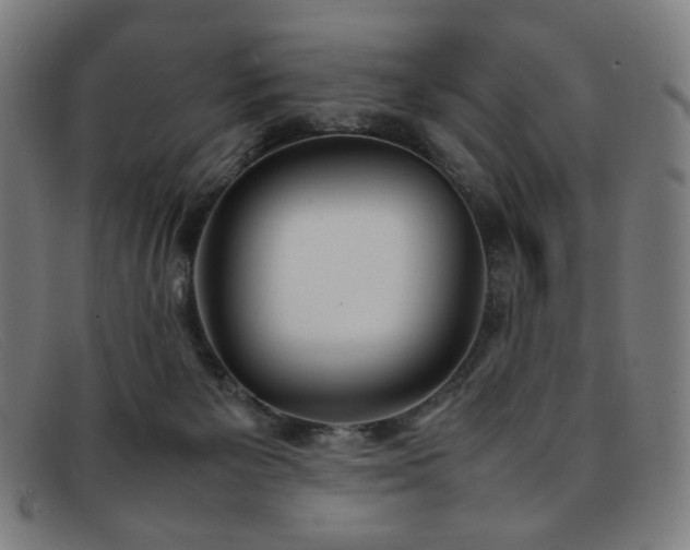 X0000092050125200709121220