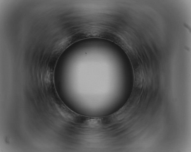 X0000092050126200709121220