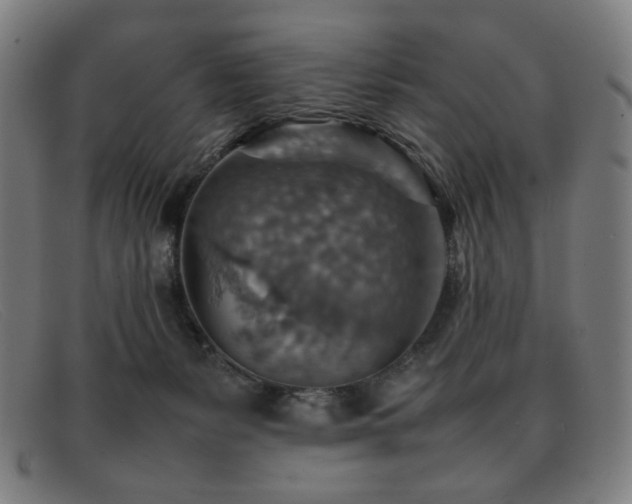 X0000092050127200709121220