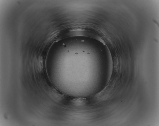 X0000092050128200709121220