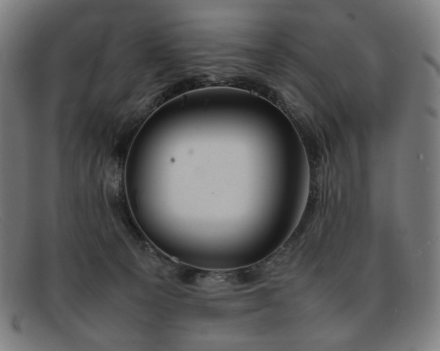 X0000092050129200709121220