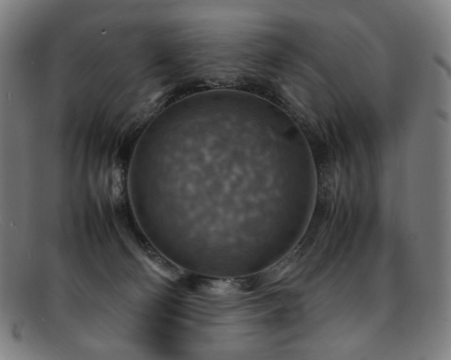 X0000092050130200709121220