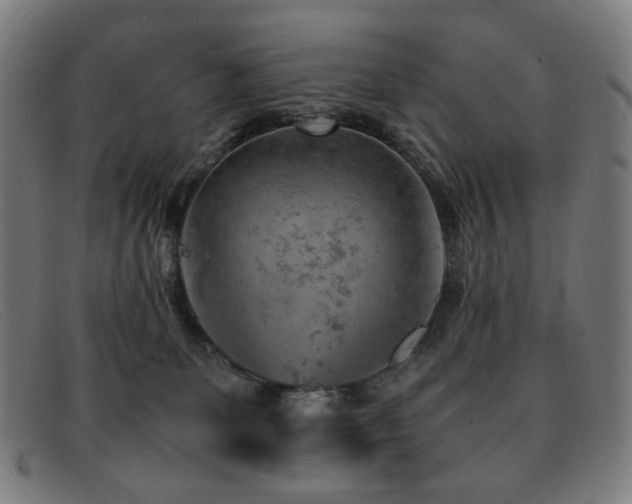 X0000092050131200709121220