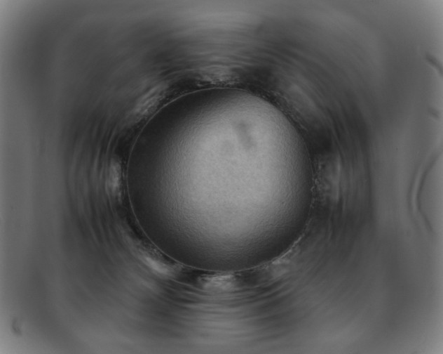 X0000092050132200709121220