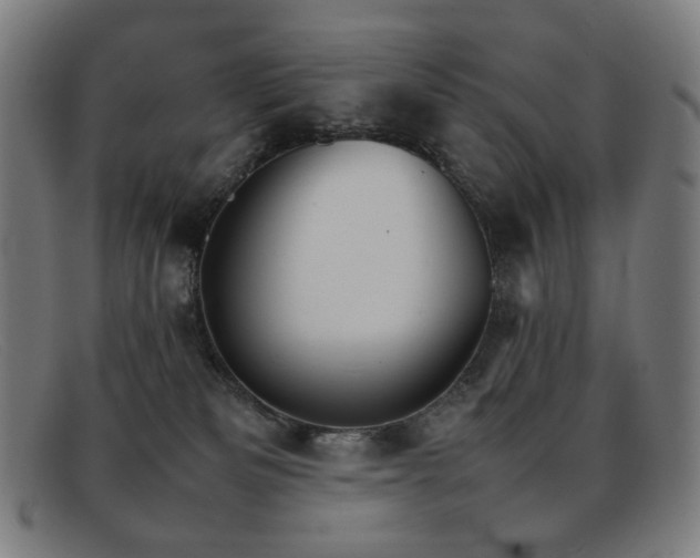 X0000092050133200709121220