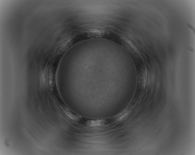 X0000092050134200709121220