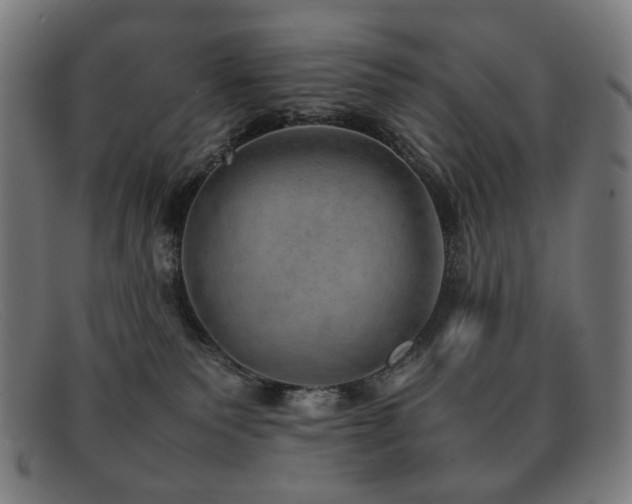 X0000092050135200709121220