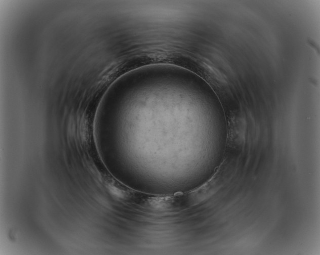 X0000092050136200709121219